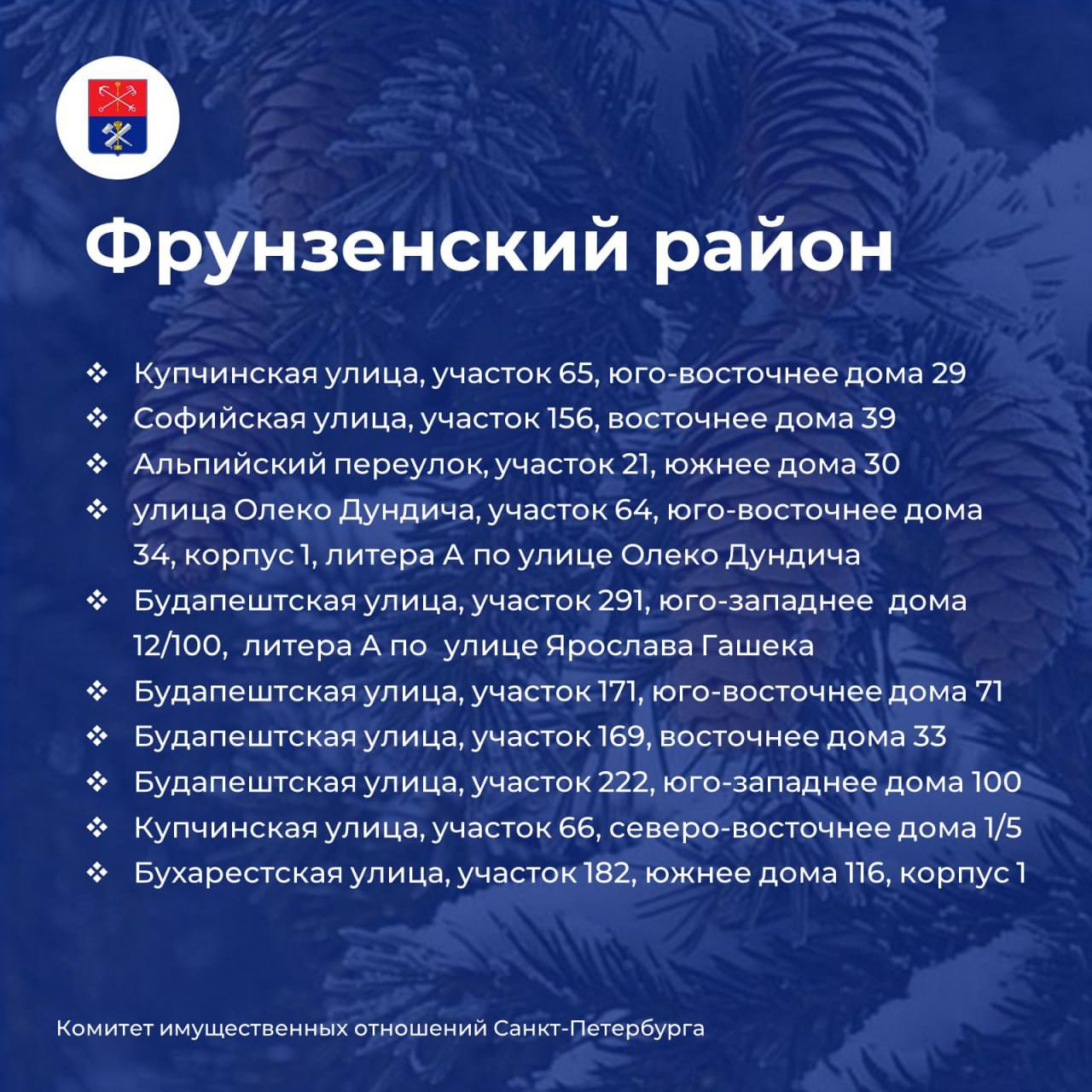 Елочные базары откроются в Петербурге 20 декабря Елочные базары откроются в Петербурге 20 декабря