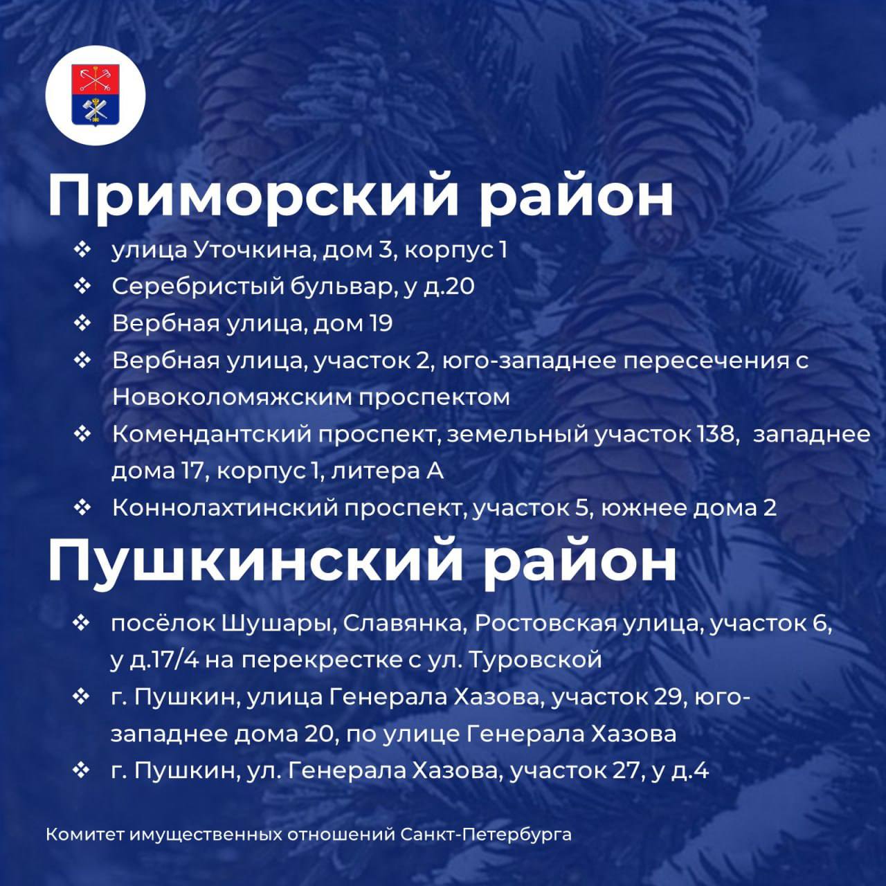 Елочные базары откроются в Петербурге 20 декабря Елочные базары откроются в Петербурге 20 декабря