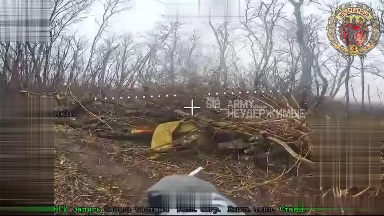 Объективный контроль работы по пехоте 32 омбр ВСУ в окрестностях Покровска, где противник несёт значительные потери