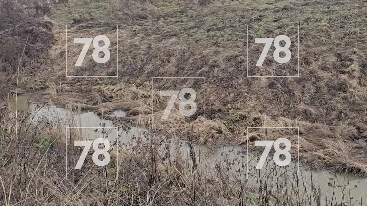 Росприроднадзор ищет строителей, засыпающих грунтом реку Утку