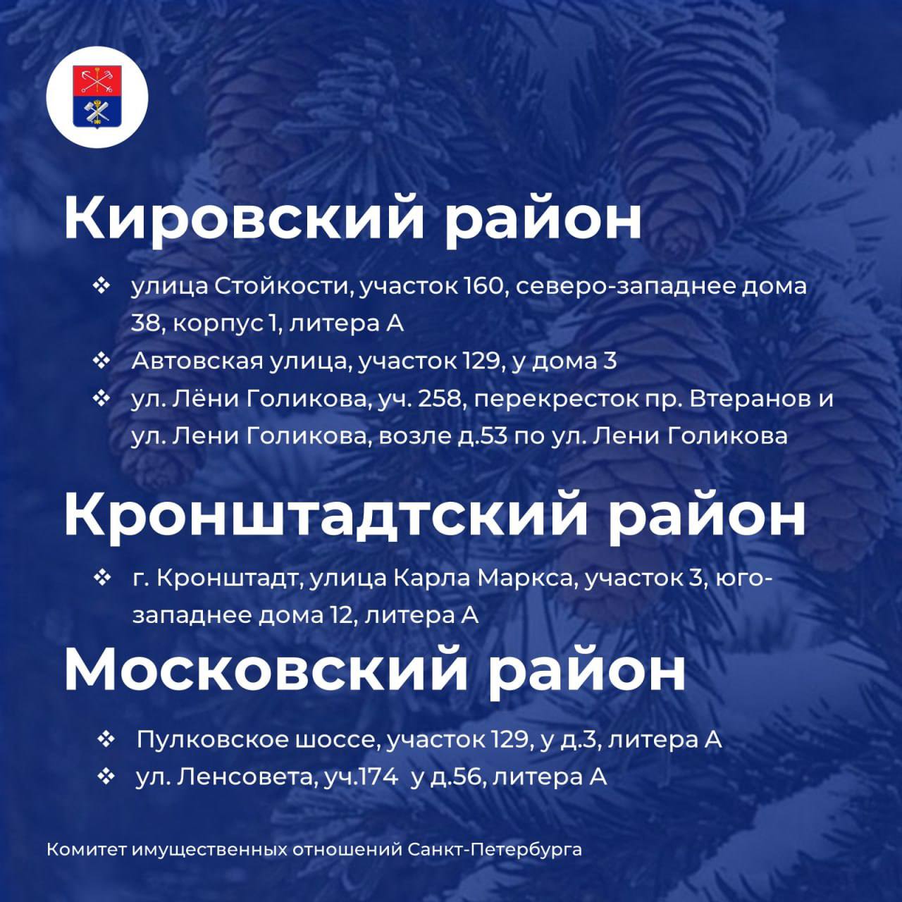 Елочные базары откроются в Петербурге 20 декабря Елочные базары откроются в Петербурге 20 декабря