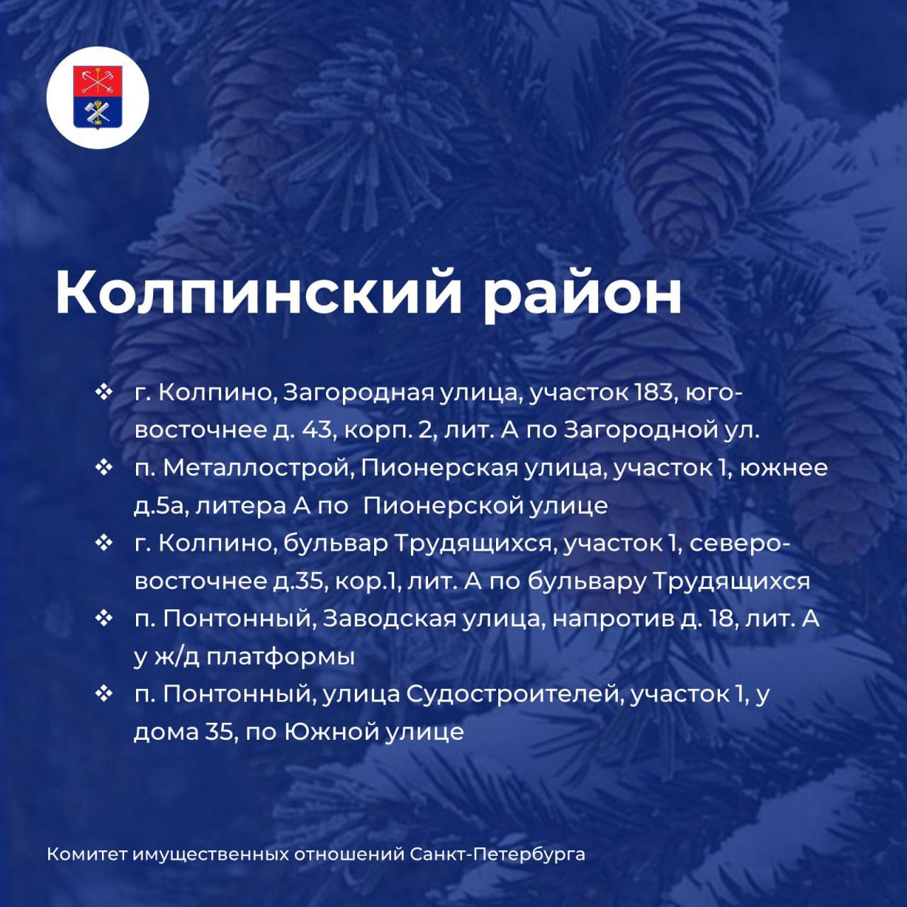 Елочные базары откроются в Петербурге 20 декабря Елочные базары откроются в Петербурге 20 декабря