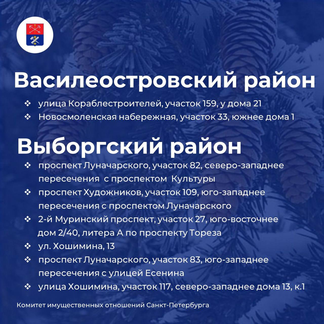 Елочные базары откроются в Петербурге 20 декабря