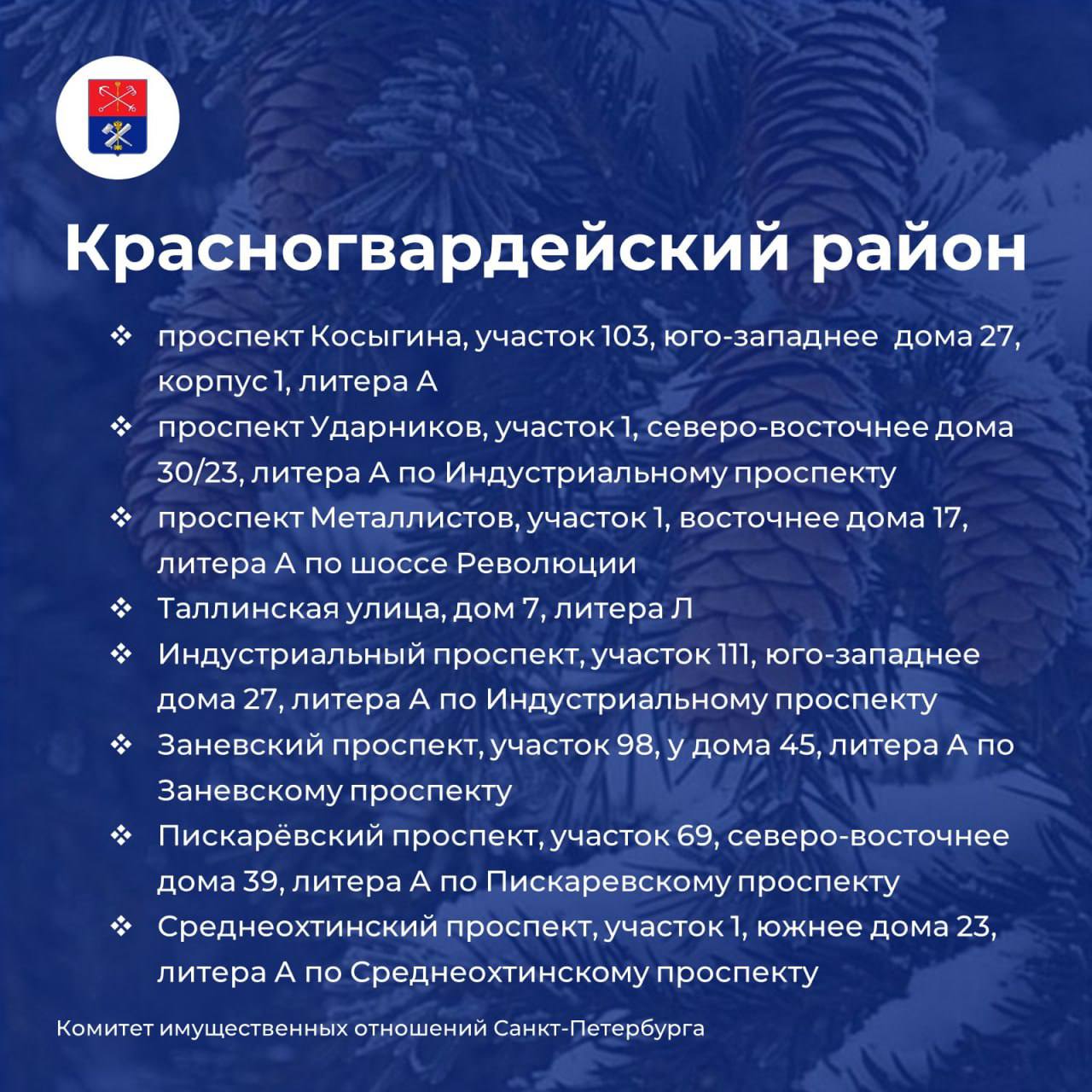 Елочные базары откроются в Петербурге 20 декабря Елочные базары откроются в Петербурге 20 декабря