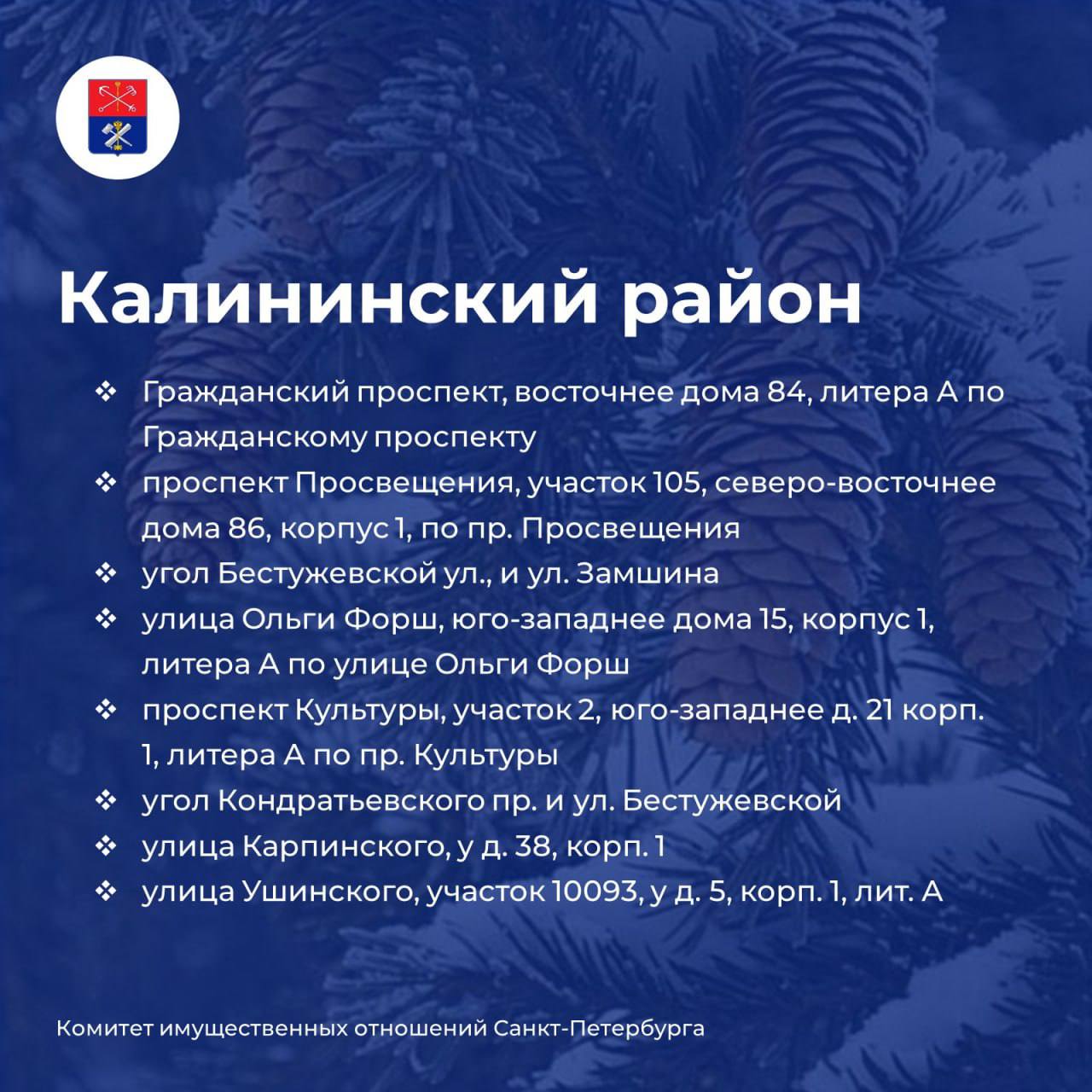 Елочные базары откроются в Петербурге 20 декабря Елочные базары откроются в Петербурге 20 декабря