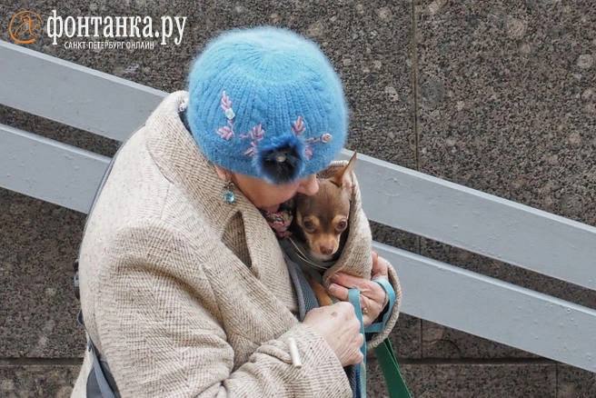 В Петербург возвращаются дождь и мокрый снег