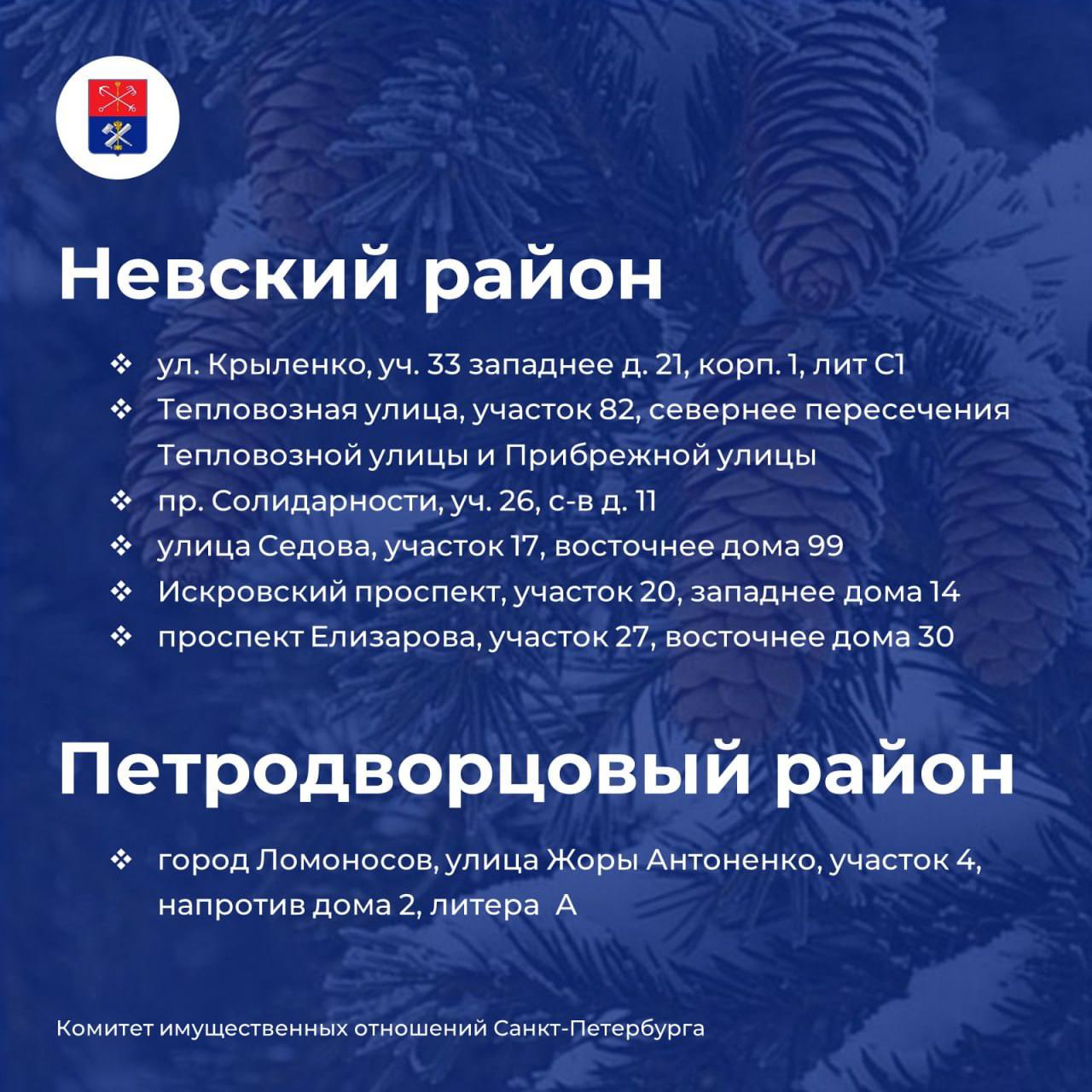 Елочные базары откроются в Петербурге 20 декабря Елочные базары откроются в Петербурге 20 декабря