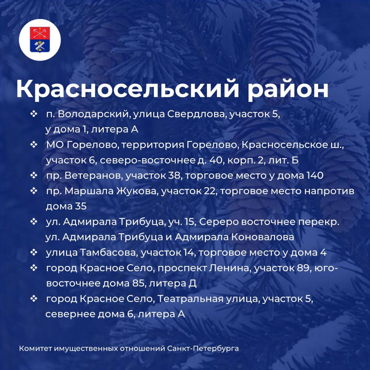 Елочные базары откроются в Петербурге 20 декабря Елочные базары откроются в Петербурге 20 декабря