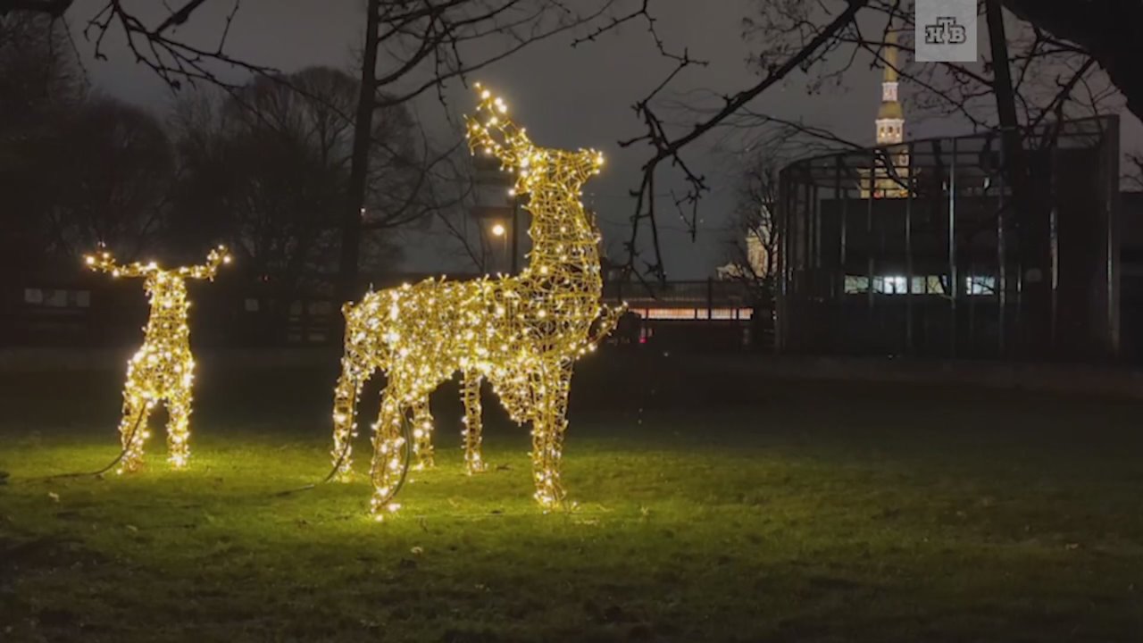 В Ленинградском зоопарке заметили необычных зверей и птиц