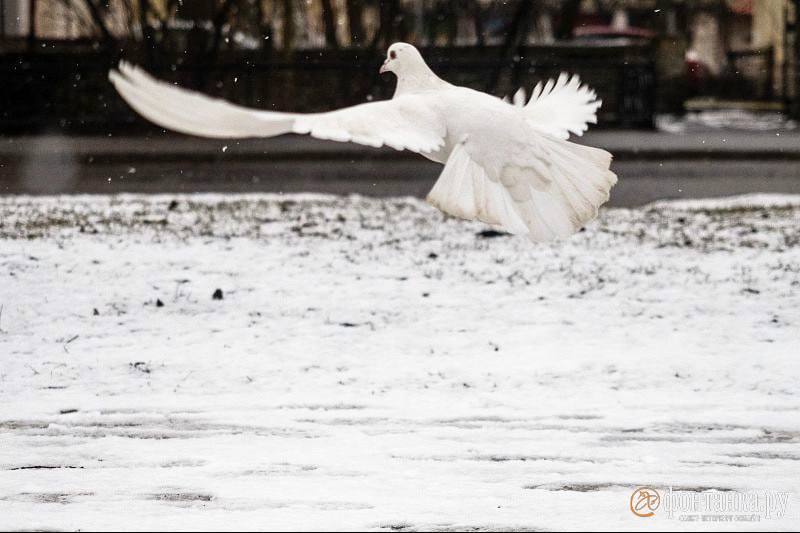 Panton в 2026 году отправляет всех в Рай: цвет наступающего — облачный танцор Panton в 2026 году отправляет всех в Рай: цвет наступающего — облачный танцор