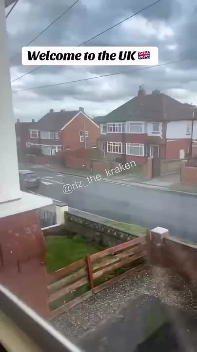 Лондонские мигранты устроили бойню во дворе