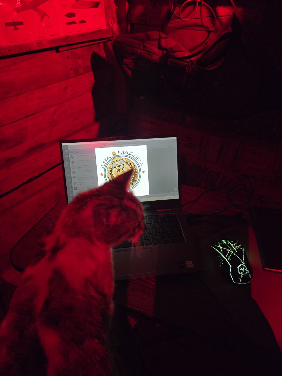 У админа сегодня лапки.. Два майора