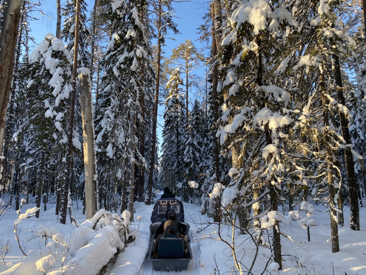 Встретить бодрое утро. можно в Кенозерье