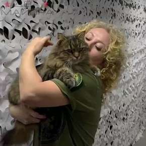  &quot; &quot;, :.  ! ,   ,      ,   