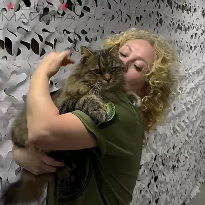 БФ "Два майора", Катя:. Фронтовой котофеич! Я, хоть и «собачница», но мимо котиков иногда пройти сложно, чтобы не погладить