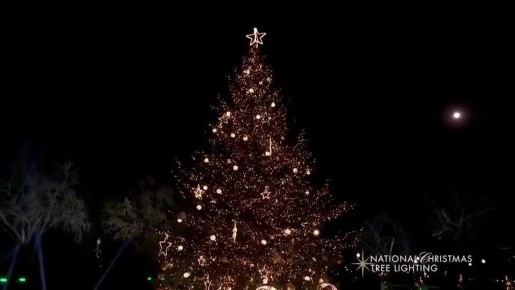 Дмитрий Дробницкий: Ну, типа, джингл-беллз! ))