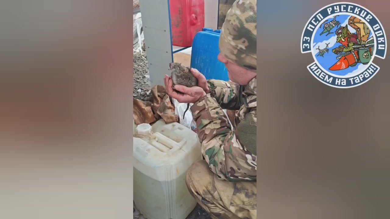 Два майора: Фронтовой снабженец. В предыдущую поездку были у подразделения ОБпЛА "Русские Орки" 33 МСП