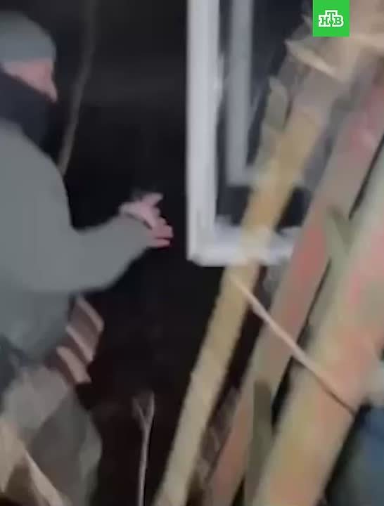 В Белоострове полиция накрыла нарколабораторию по производству мефедрона