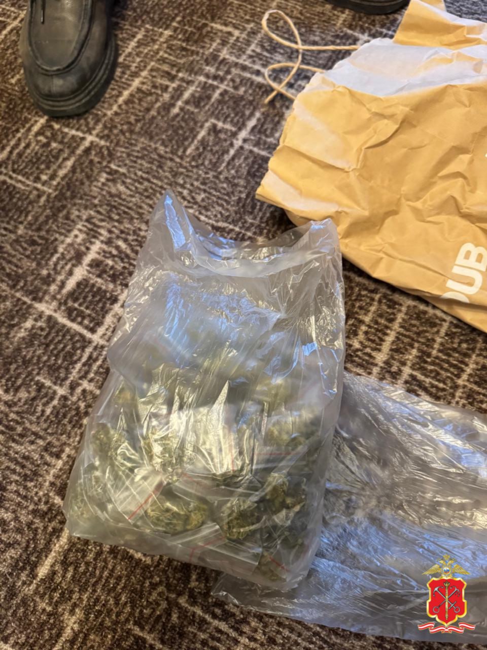 Мигранта-закладчика задержали в Московском районе: при себе у него был пакет с пакетами Мигранта-закладчика задержали в Московском районе: при себе у него был пакет с пакетами