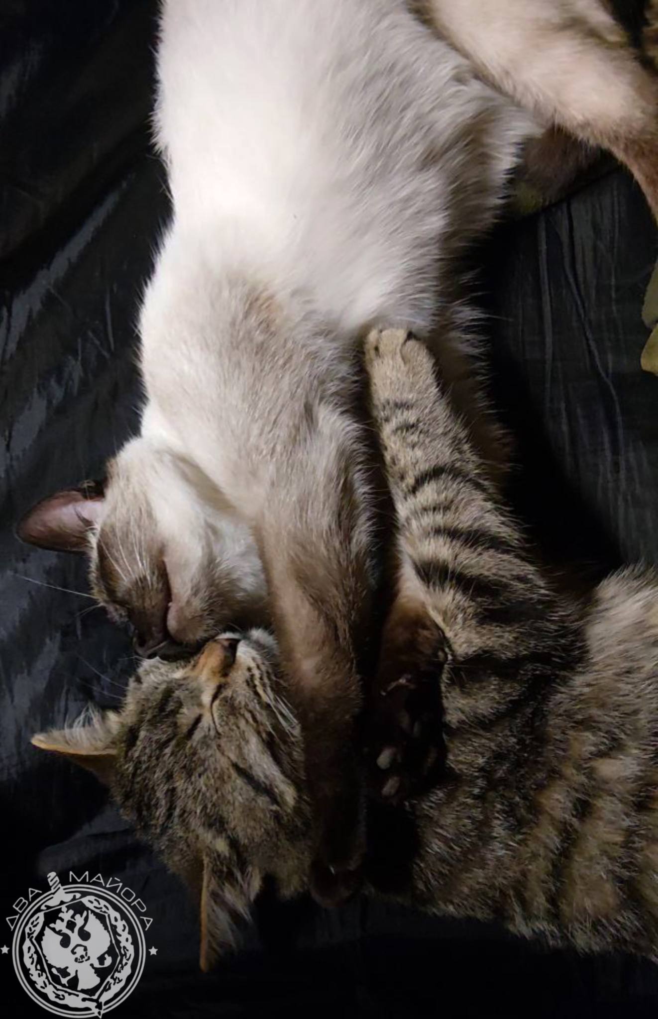 Два майора: Рубрика «Будни солдата» Два майора: Рубрика «Будни солдата»