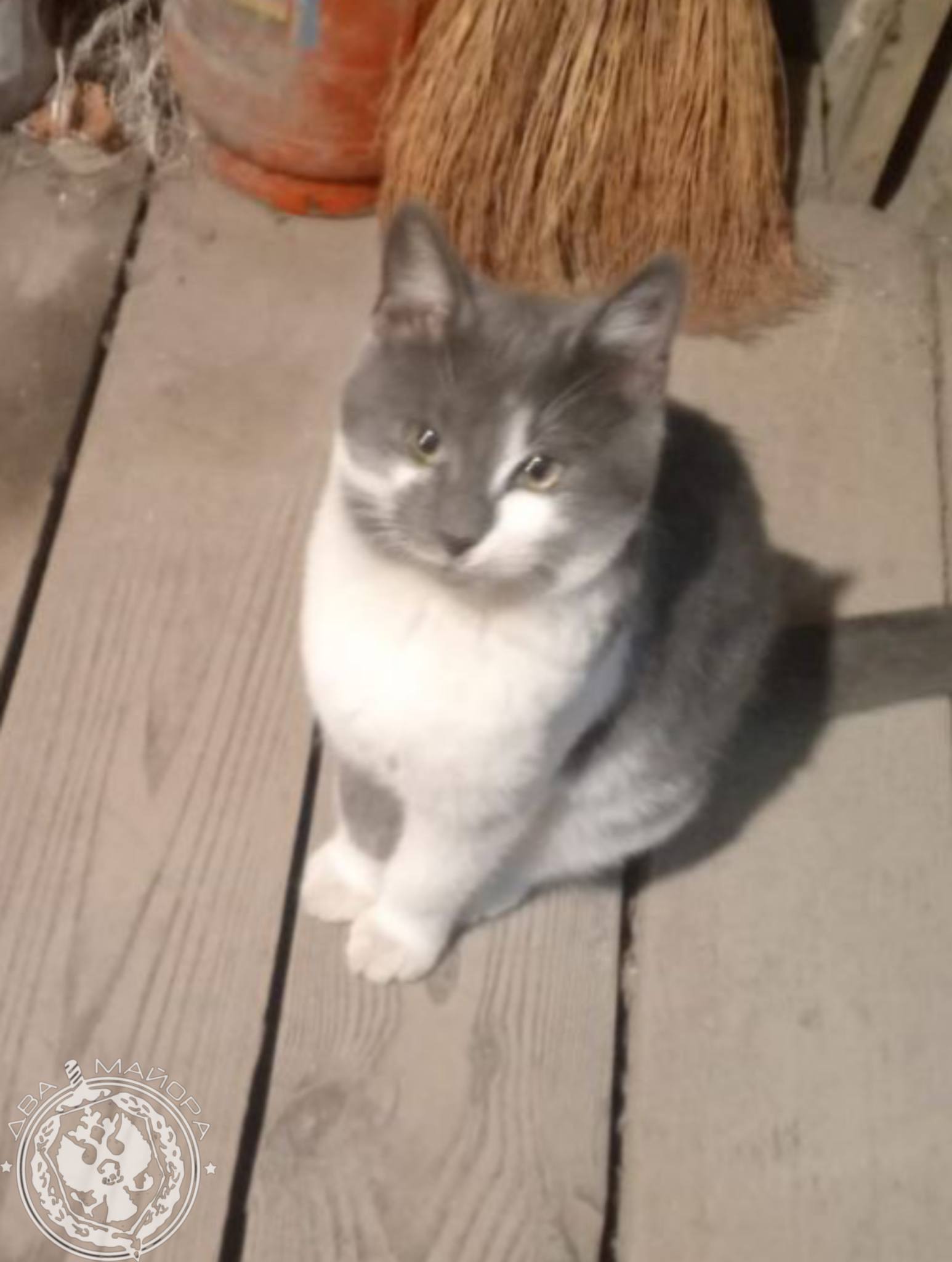 Два майора: Рубрика «Будни солдата» Два майора: Рубрика «Будни солдата»