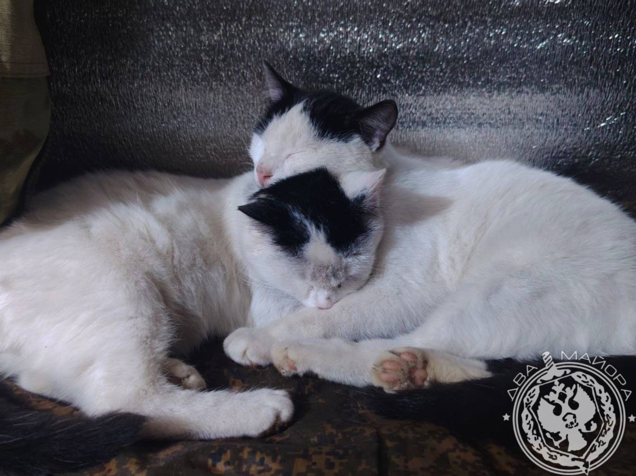 Два майора: Рубрика «Будни солдата» Два майора: Рубрика «Будни солдата»