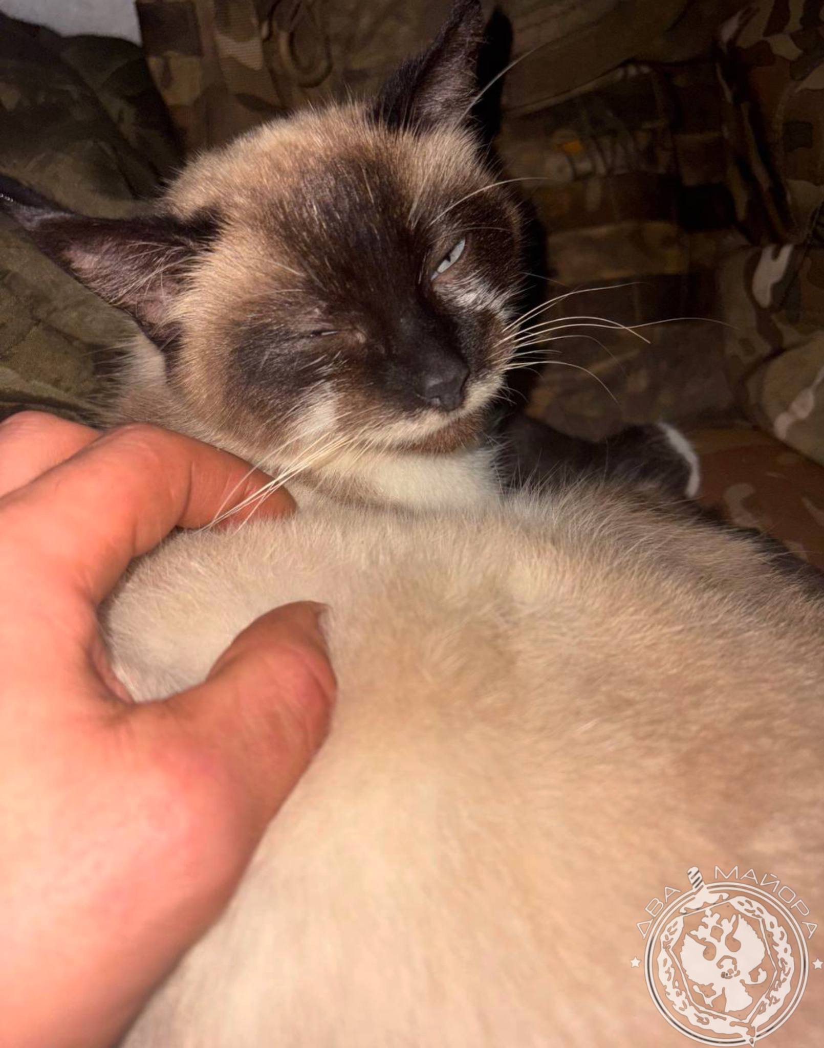 Два майора: Рубрика «Будни солдата»