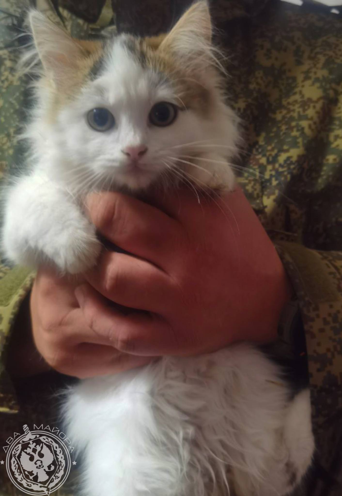 Два майора: Рубрика «Будни солдата» Два майора: Рубрика «Будни солдата»