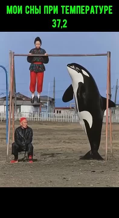 Маркетинг в мемах - подпишись — и смейся над проблемами