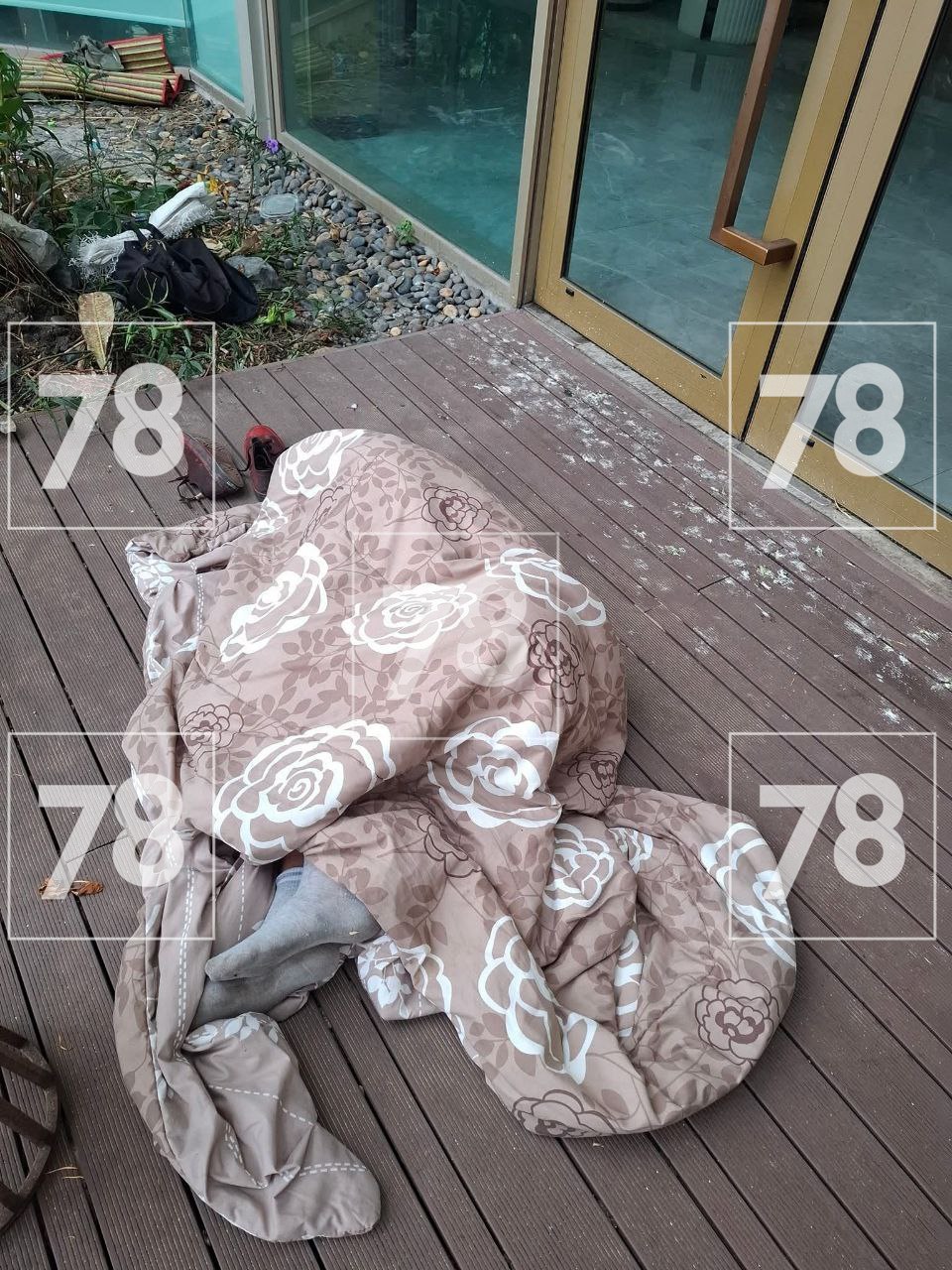 «Умывается в луже с лягушками»: соотечественники переживают за судьбу петербуржца, бомжующего в Таиланде «Умывается в луже с лягушками»: соотечественники переживают за судьбу петербуржца, бомжующего в Таиланде