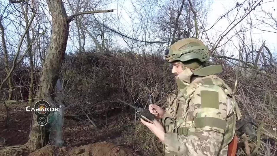 ��������� �������: ���������� �������� � �������� � ���� ��� - ������������ ������� ������