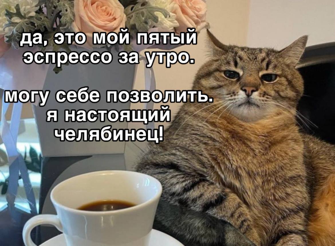 В России вычислили города реальных кофеманов