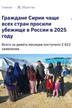 По 10 сирийцев в день. Такую дозу в среднем уже 9 месяцев получает наша страна от Сирии, где ситуация с приходом нового режима просто аховая — сирийцы массово бегут из своей страны