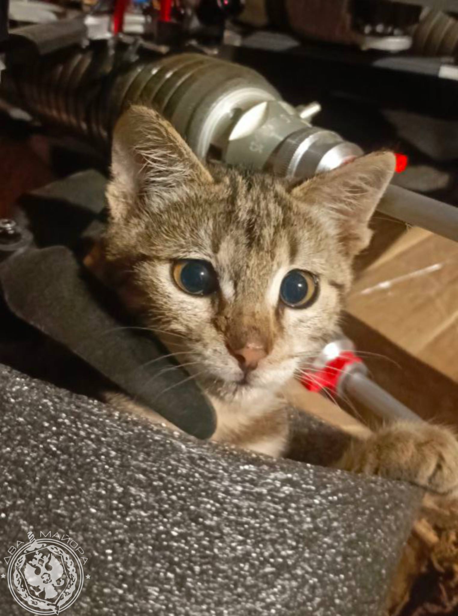 Два майора: Рубрика «Будни солдата» Два майора: Рубрика «Будни солдата»