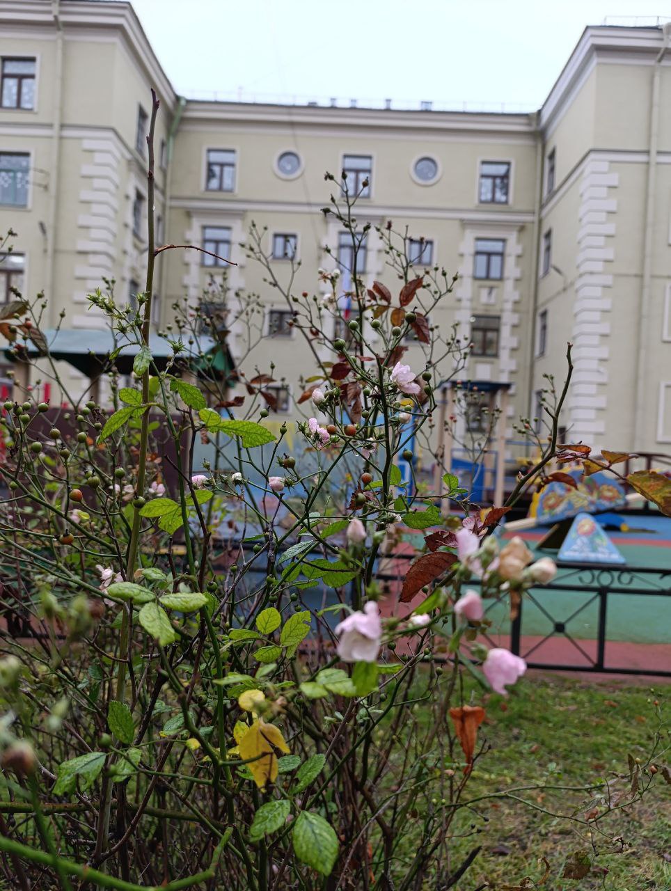 На этой неделе Петербург ждет декабрьская жара