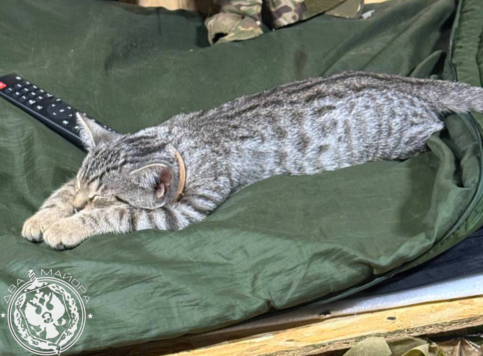 Два майора: Рубрика «Будни солдата» Два майора: Рубрика «Будни солдата»