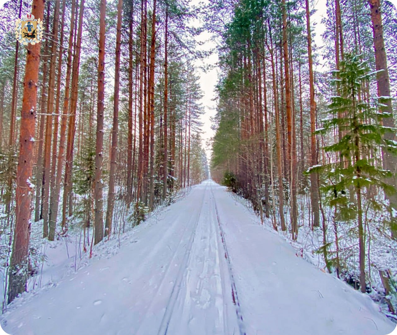Под стук колес. Только представьте: паровозный гудок разрывает морозную тишину и снежную завесу Под стук колес. Только представьте: паровозный гудок разрывает морозную тишину и снежную завесу