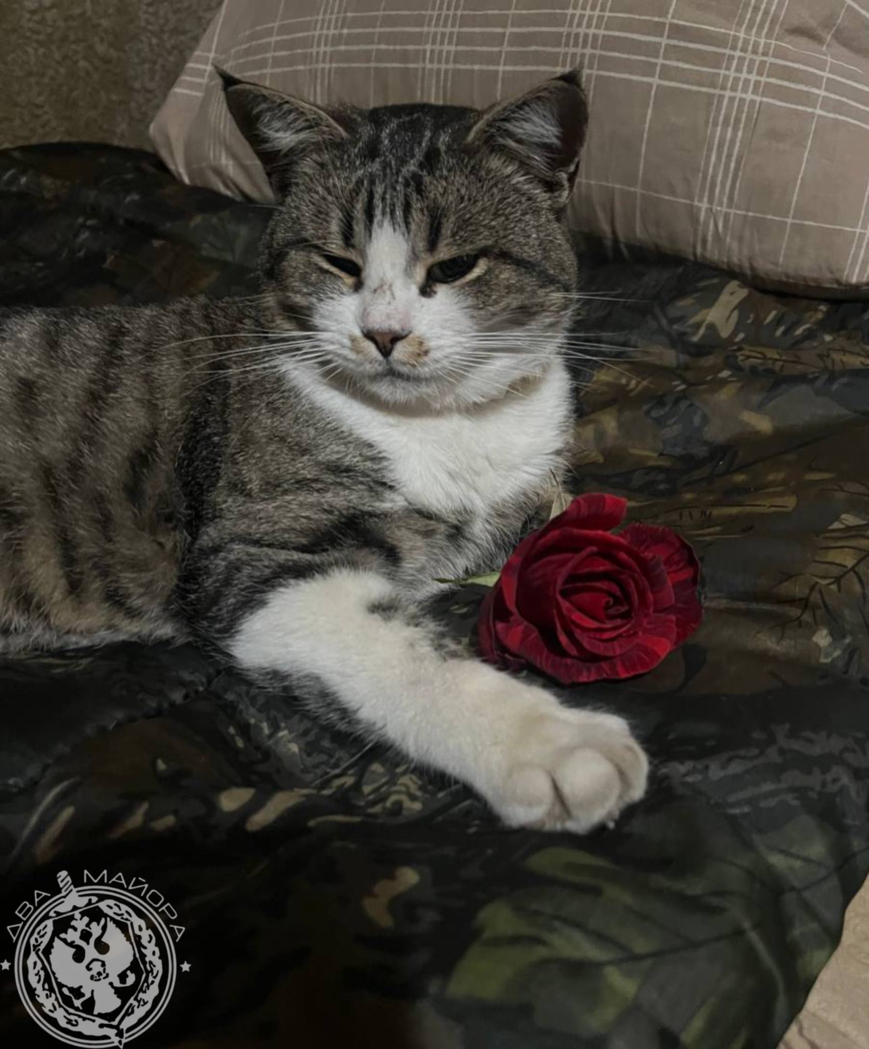 Два майора: Рубрика «Будни солдата»