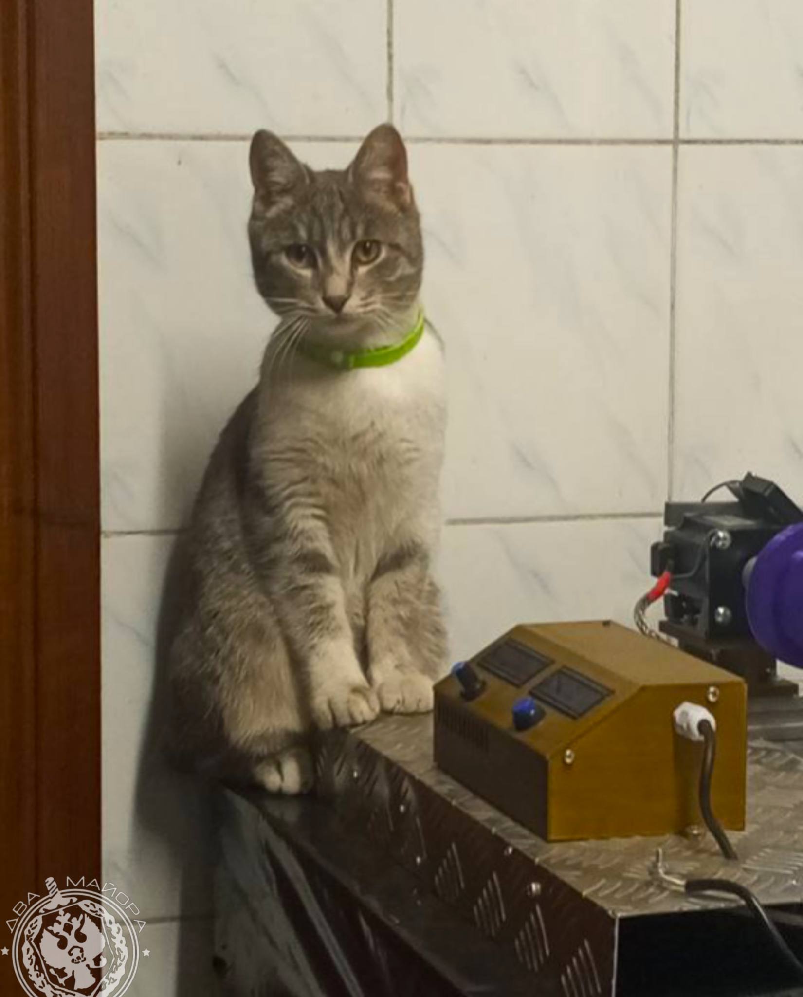 Два майора: Рубрика «Будни солдата» Два майора: Рубрика «Будни солдата»