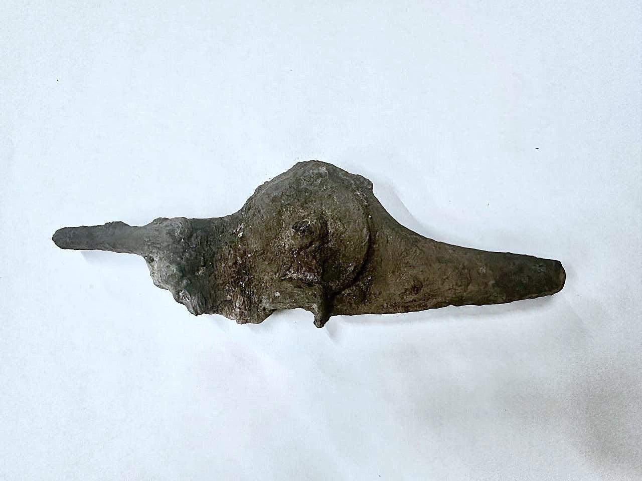 В Выборгском замке нашли колесцовый замок от пистолета XVII века В Выборгском замке нашли колесцовый замок от пистолета XVII века