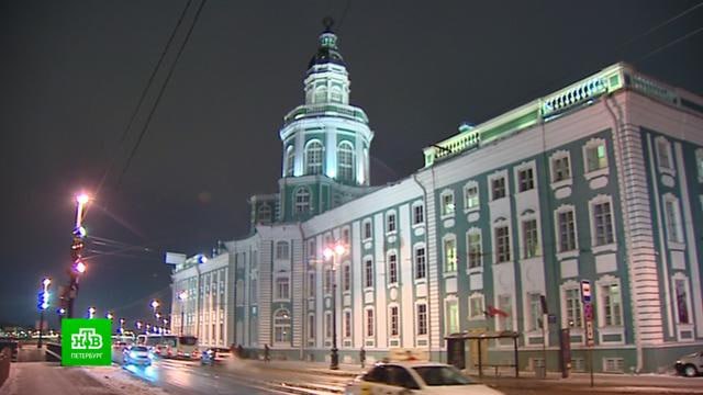 Корпус Кунсткамеры в Таможенном переулке закроют на ремонт в 2026 году