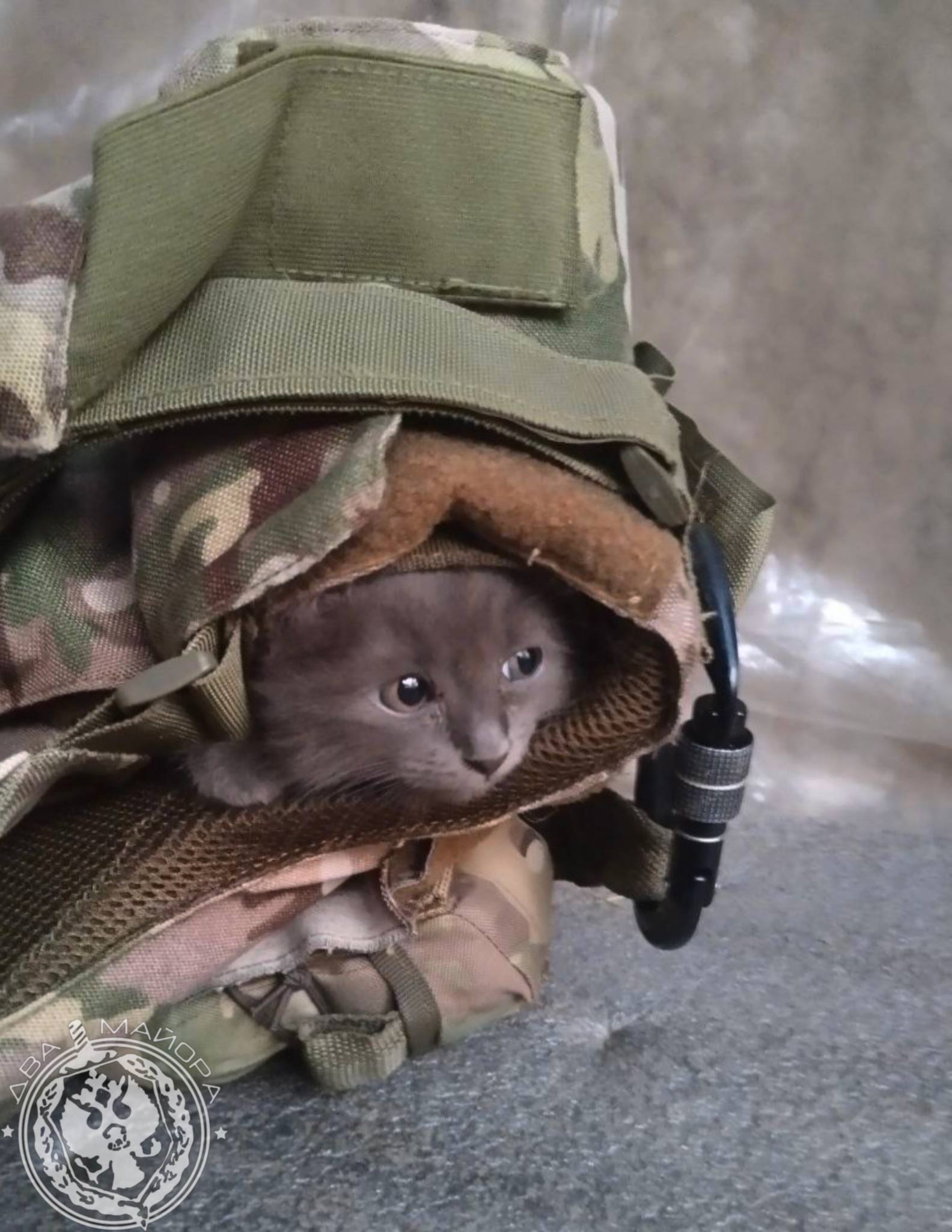 Два майора: Рубрика «Будни солдата» Два майора: Рубрика «Будни солдата»