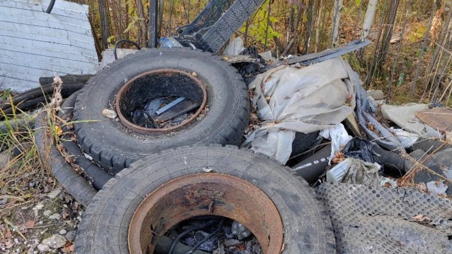 Прокуратура потребовала очистить земельный участок от отходов Прокуратура потребовала очистить земельный участок от отходов