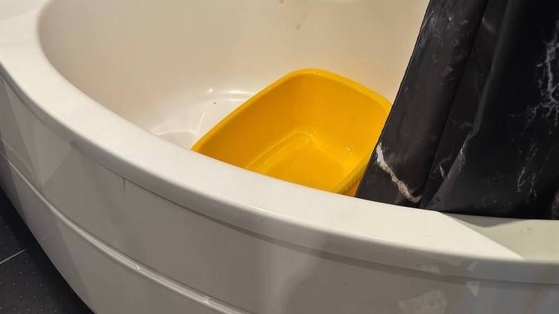 Прокуратура Калининского района г. Санкт-Петербурга поставила на контроль ход расследования уголовного дела, возбужденного по факту убийства новорожденного