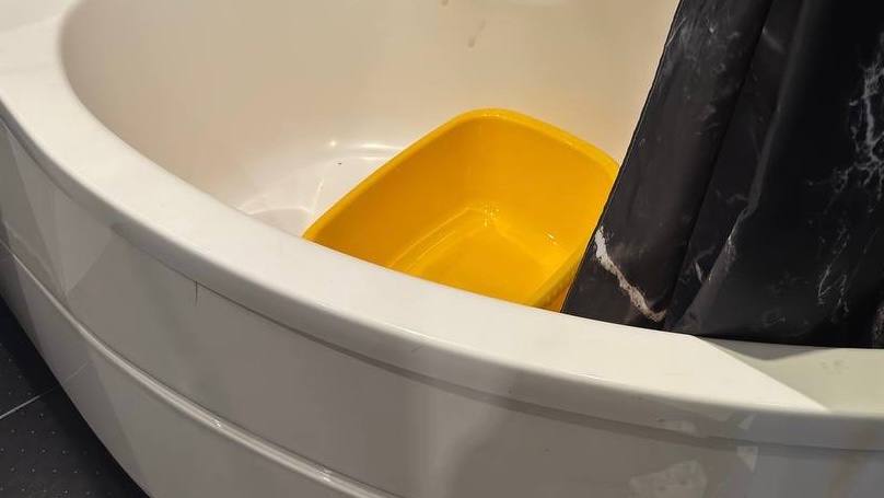 Прокуратура Калининского района г. Санкт-Петербурга поставила на контроль ход расследования уголовного дела, возбужденного по факту убийства новорожденного