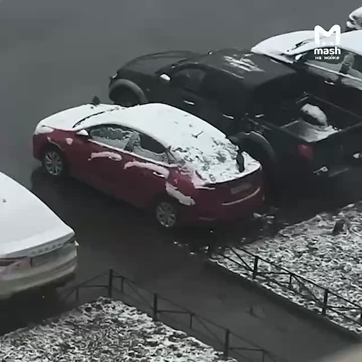 В мире животных с Mash на Мойке — наблюдаем, как чёрные вороны на озорном устроили зимние покатушки на припаркованной в Приморском районе тачке