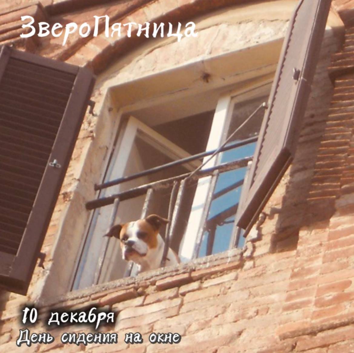 Как пишут в интернетах, сегодняшний день полагается провести, сидя с ногами на подоконнике, наблюдая за происходящим снаружи, мечтая и наслаждаясь моментом