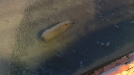  -        &quot;50  &quot;