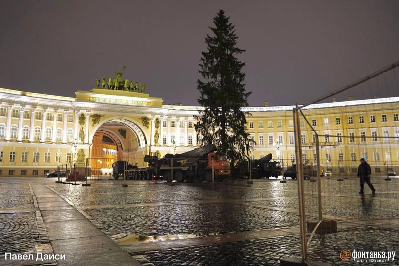 Главная ёлка Петербурга приехала на Дворцовую площадь Главная ёлка Петербурга приехала на Дворцовую площадь
