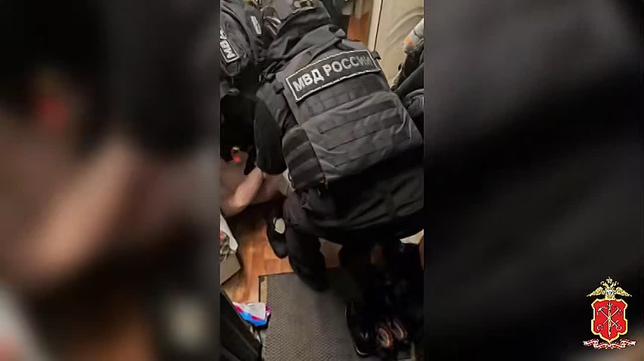 В Петербурге задержаны «сваха» и шесть фиктивных невест за легализацию мигрантов